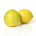 fresho! Lemon - Gandharaj Each, Premium, Institutional, 1 pc