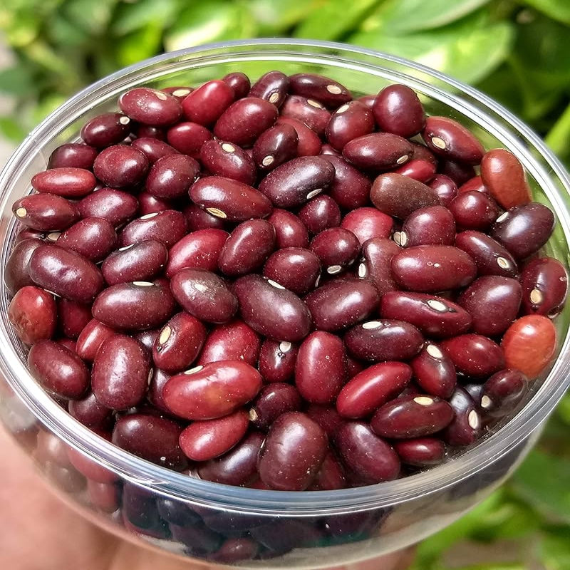 SS Loose Rajma / Red Kidney Beans, 100 g