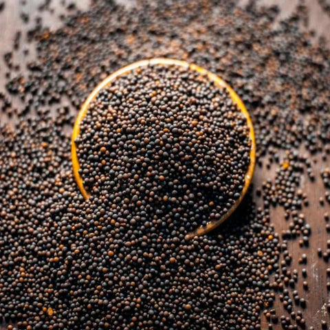 SS Black Mustard / Kala Sarso, 100 g
