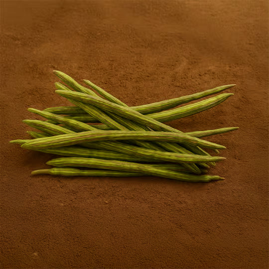 Drumstick / Sojne Data, 250 g