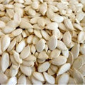 SS Loose Chal Magoj / Melon Seeds, 25 g