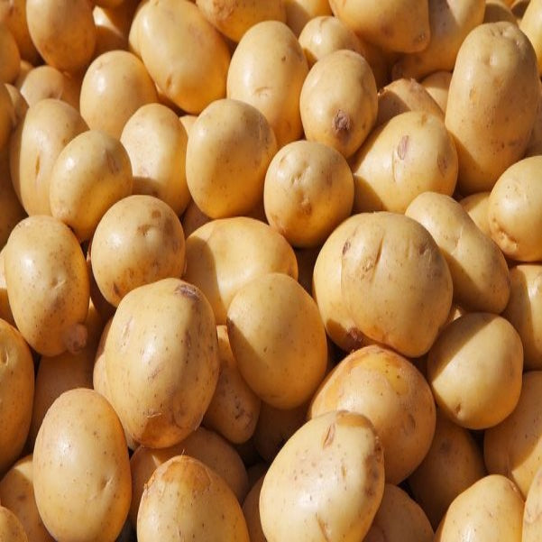 SS New Chandramukhi Potato, 1 kg