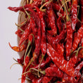 Red chili peppers on a white background
