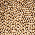 SS White Dried Peas/Matar, 250 g