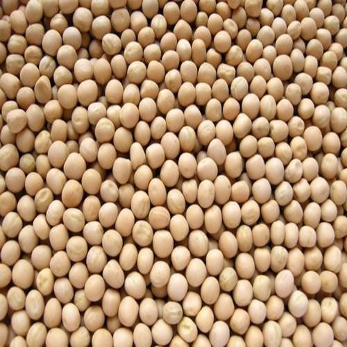 SS White Dried Peas/Matar, 250 g